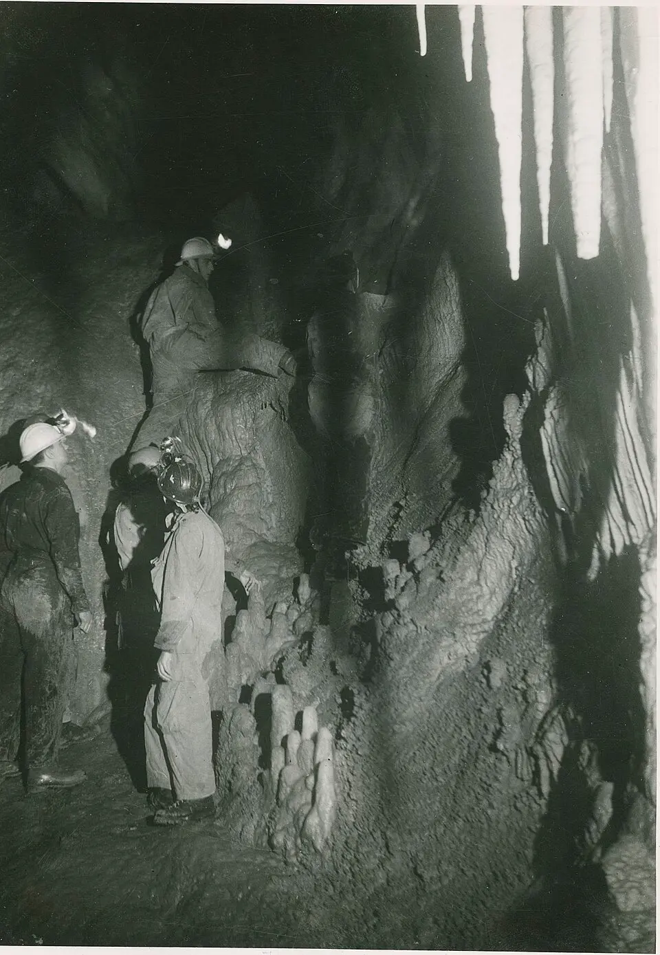riserva naturale delle Grotte di Bossea