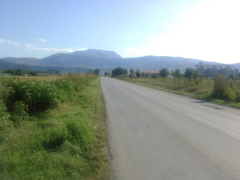Μορίκι
