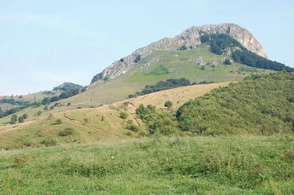 Apulon