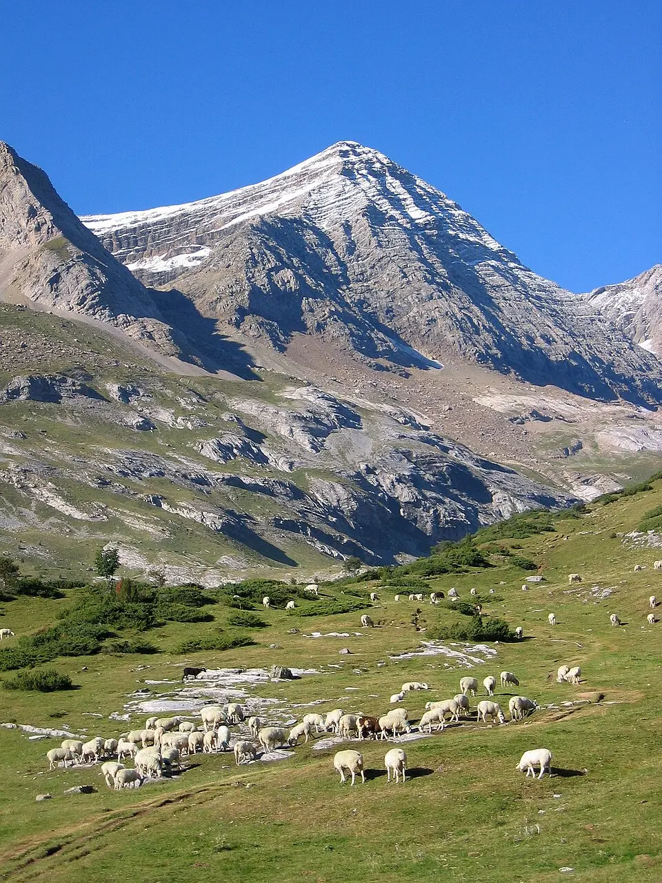 Pico Taillón