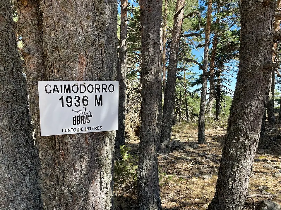 Immagine: StrongNet · CC BY-SA 4.0 Caimodorro