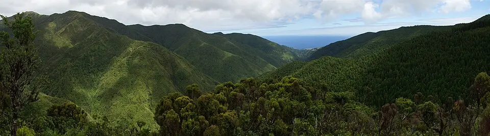 Pico da Vara