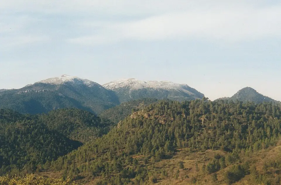 Pico de la Sarga (Sierra de Alcaraz)