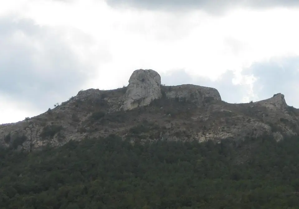 Picorandan