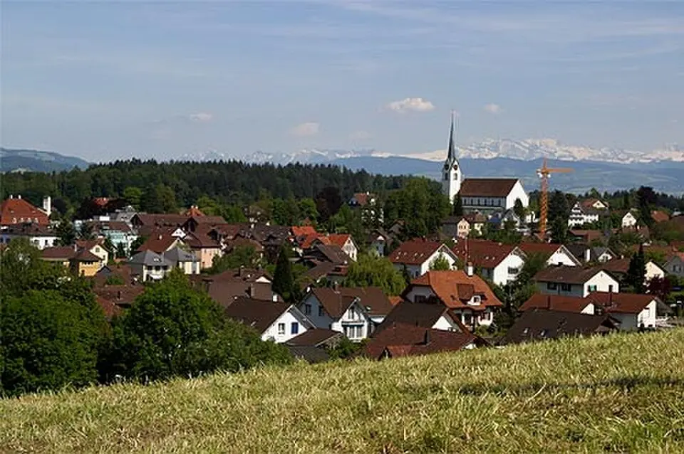 Muri