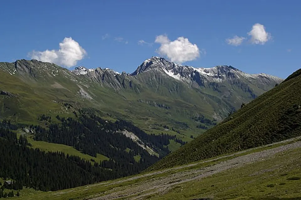 Sazmartinshorn