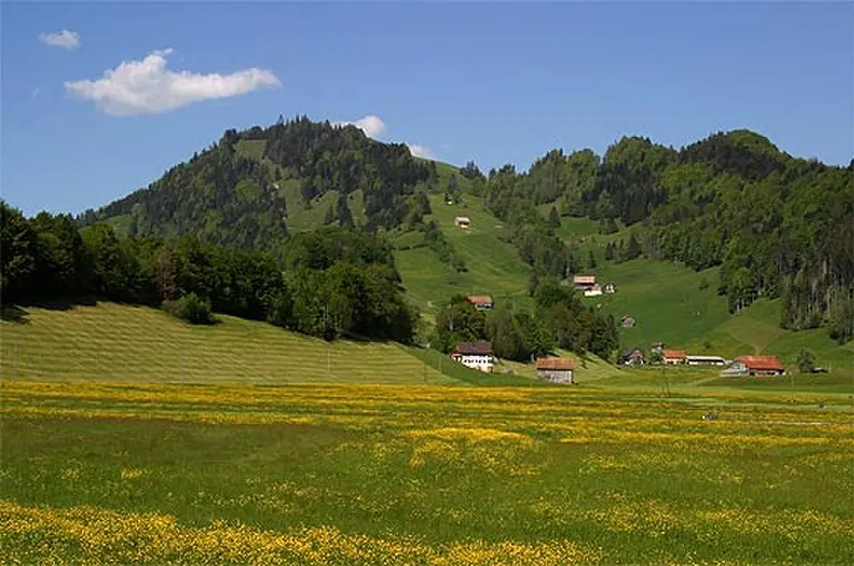Morgartenberg