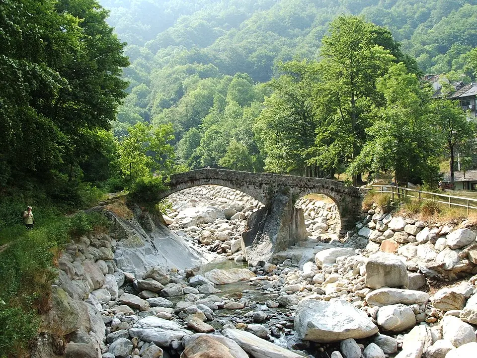 Cervo