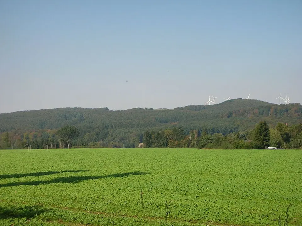 Piepenkopf
