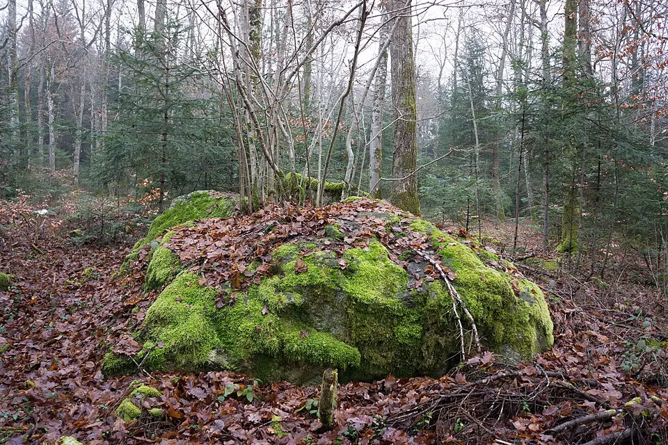 Bois de Chassagne, Schalensteine unbekannter Zeitraum