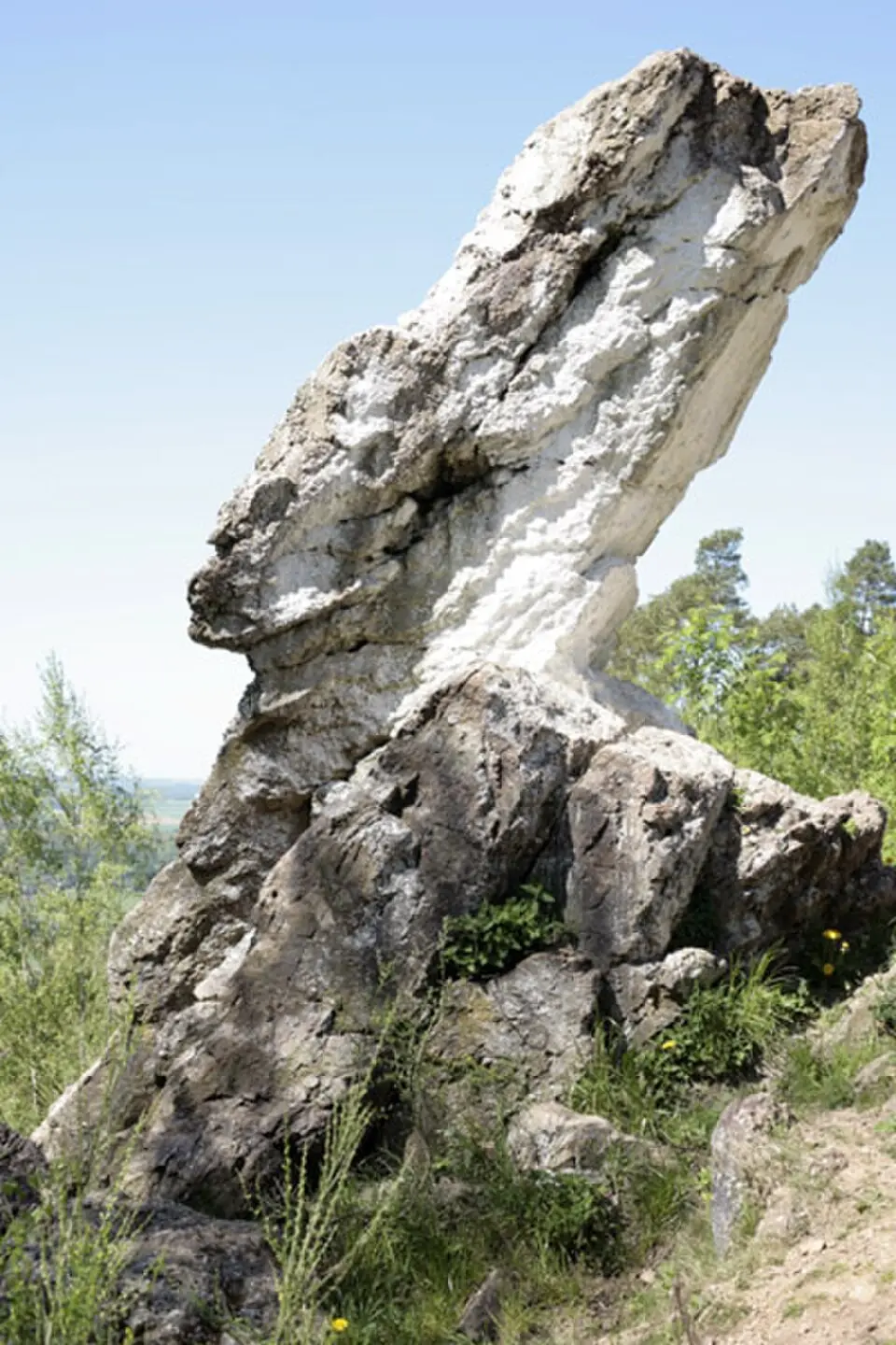 Pierre Haina