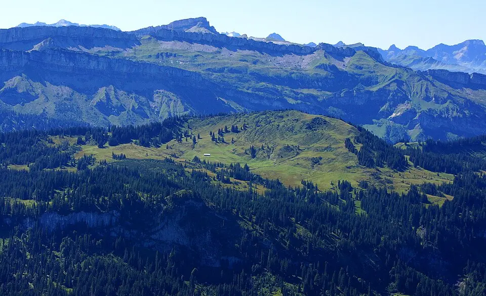 Piesenkopf