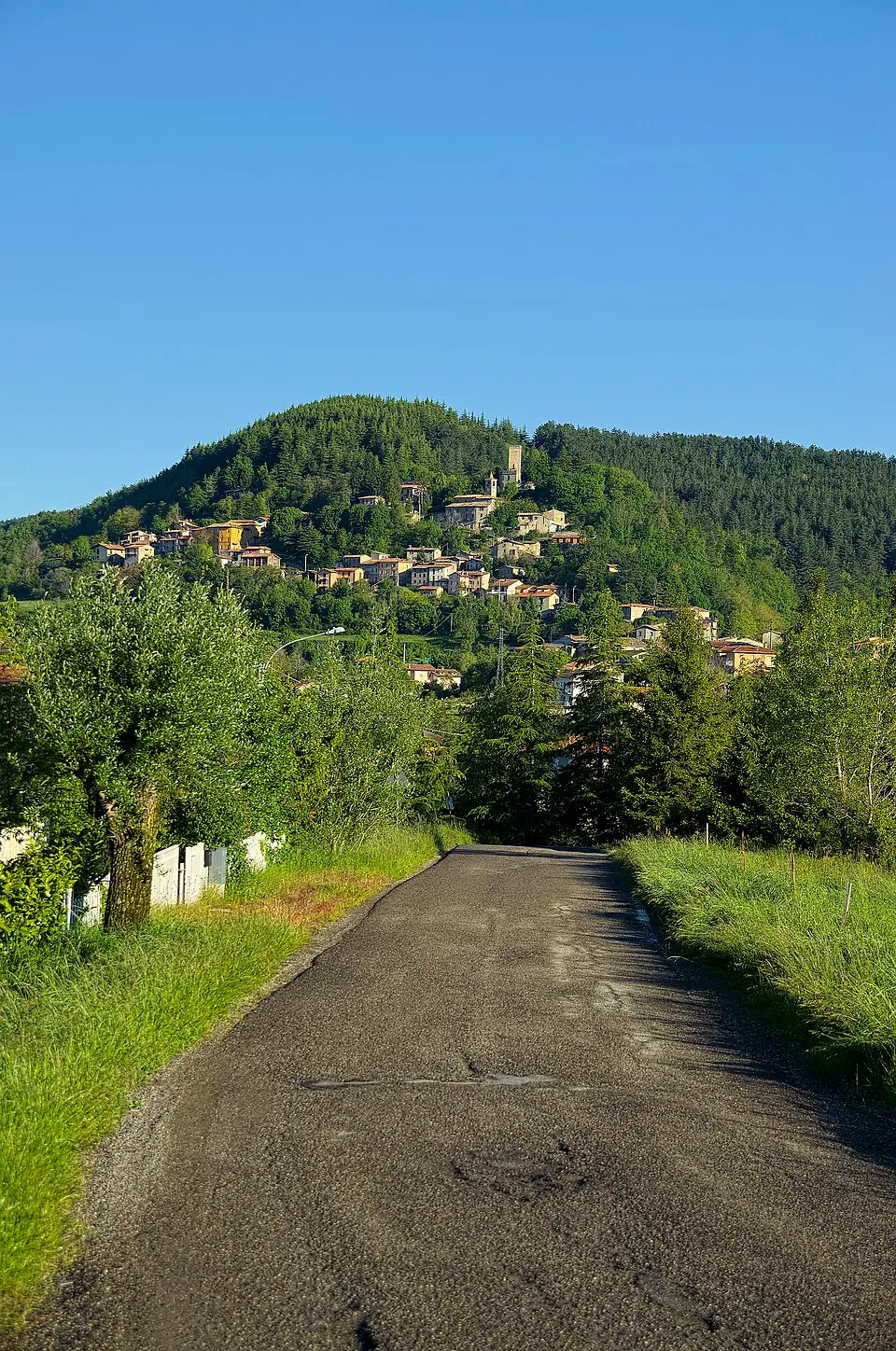Pietragavina