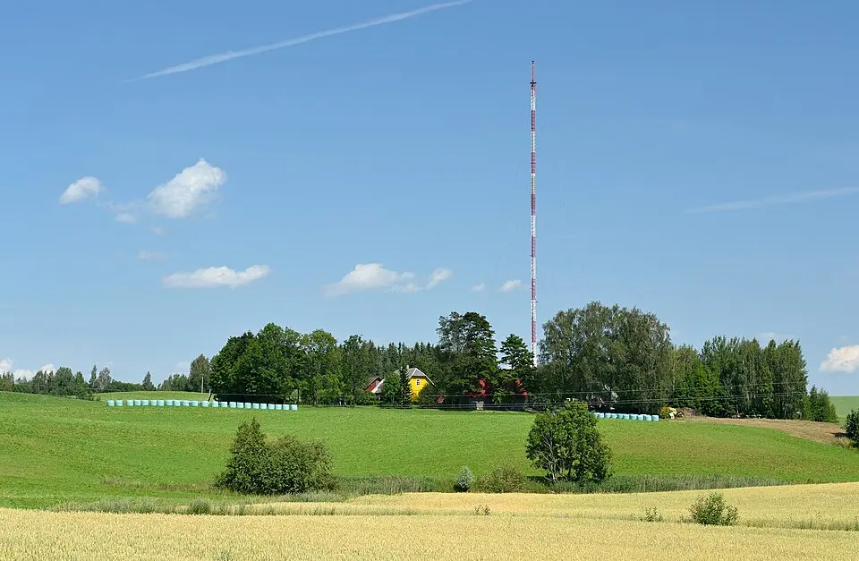 Pikareinu
