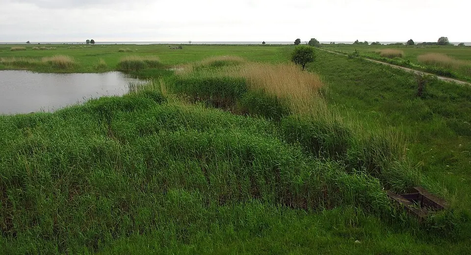 Luitemaa looduskaitseala