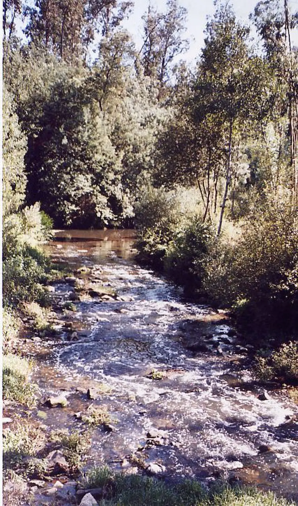 Rio Antuã