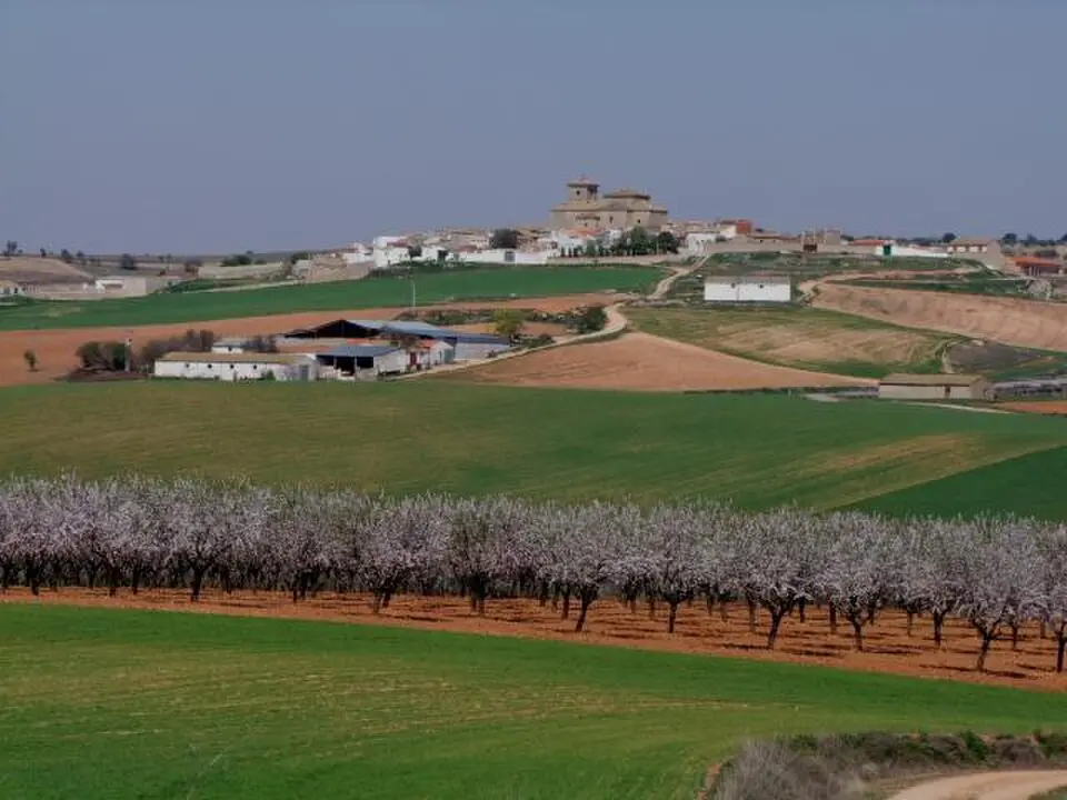 Pinarejo