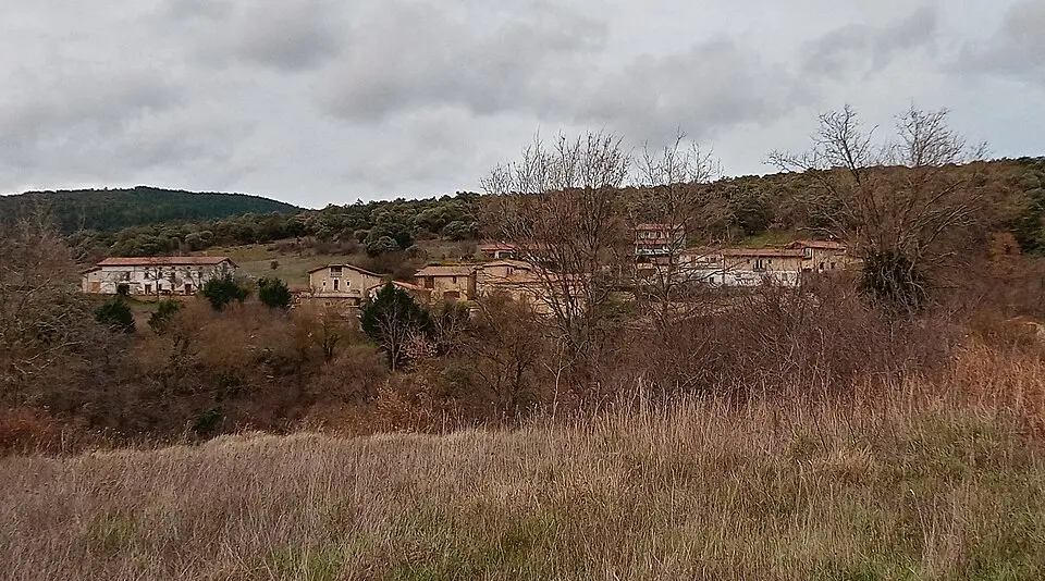 Pinedo