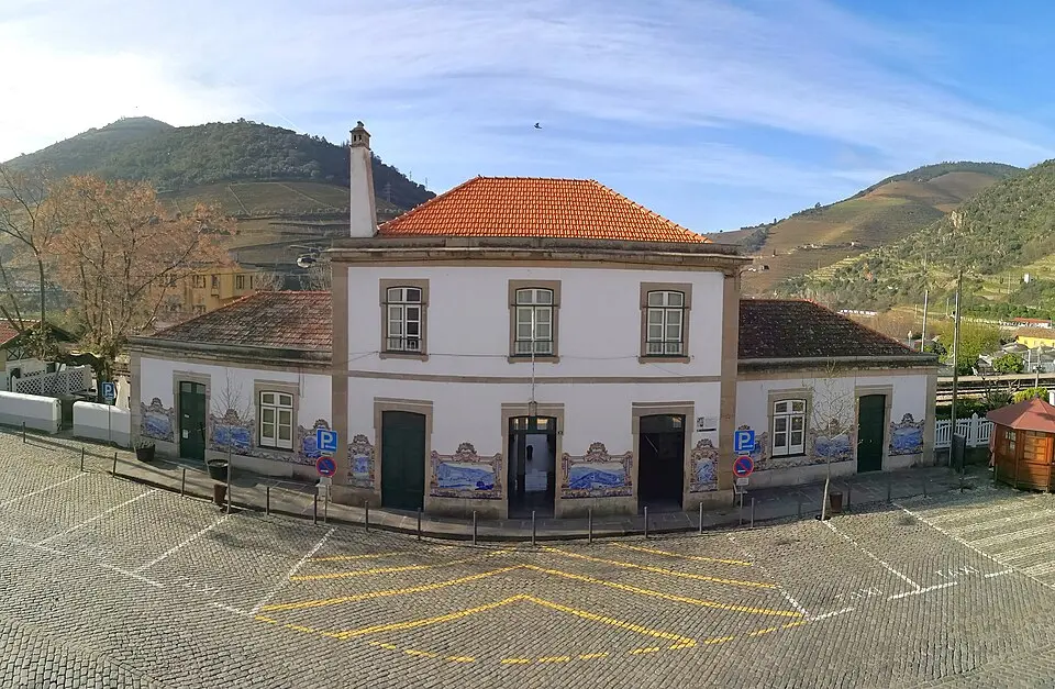 Pinhão