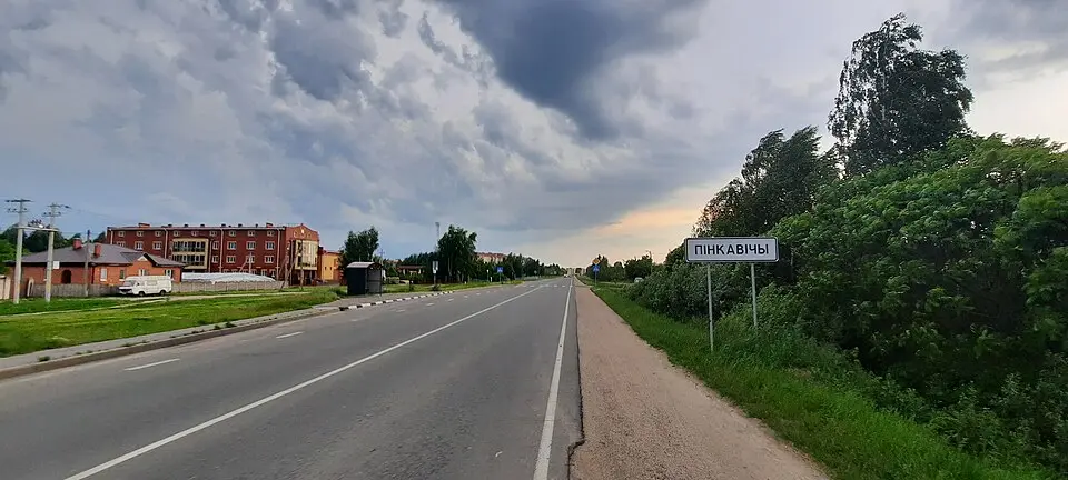 Пінкавічы