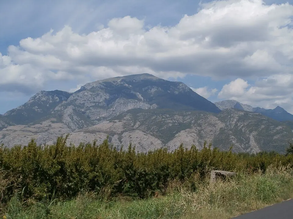 Πίνοβο