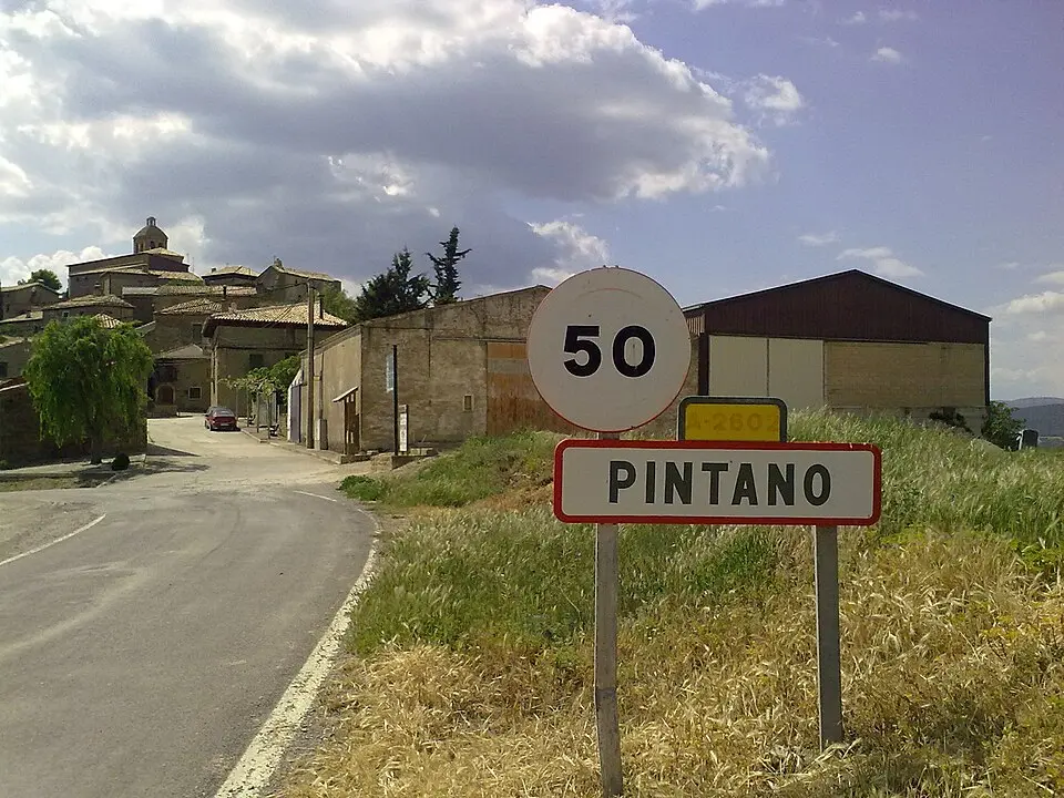 Los Pintanos