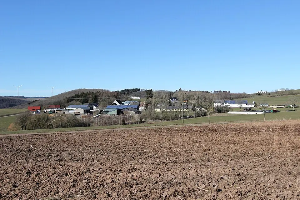 Pintesfeld