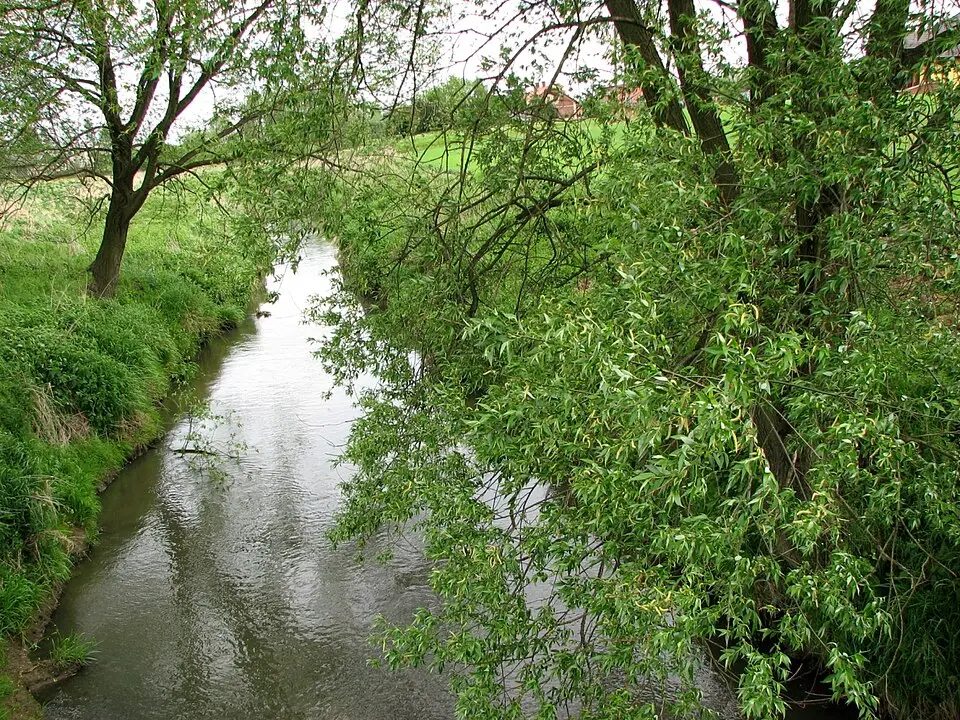Petrůvka