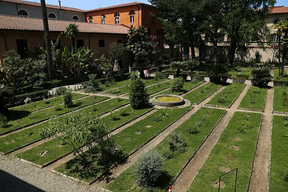 Orto e Museo Botanico di Pisa
