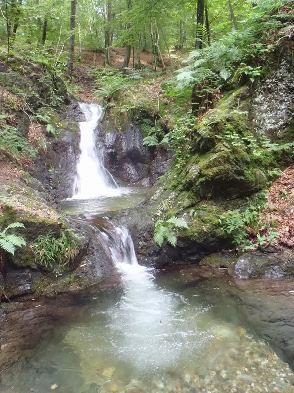 Slika: 15:26, 12 October 2014 (UTC) · CC BY-SA 3.0 Cascata del Riazzo