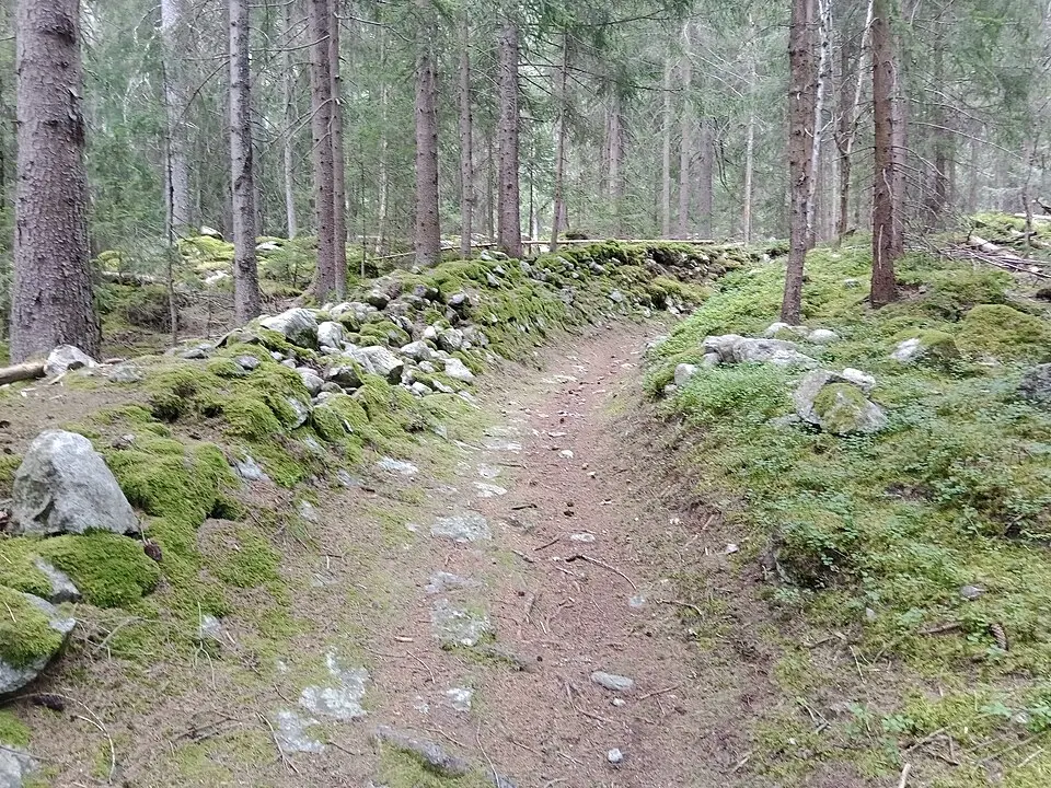 La Piste de Bobsleigh des Pellerins