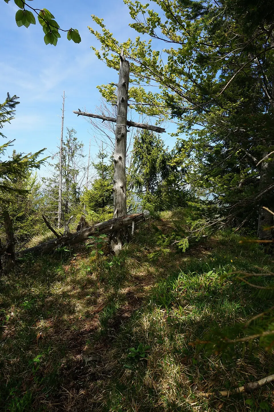 Pitrachspitze