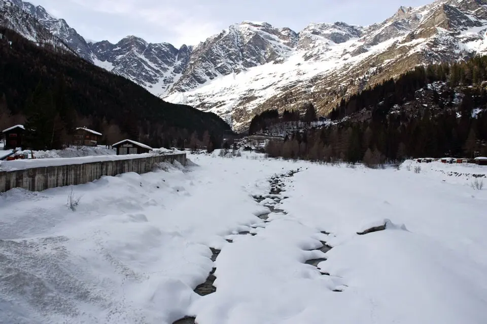 Fornarelli