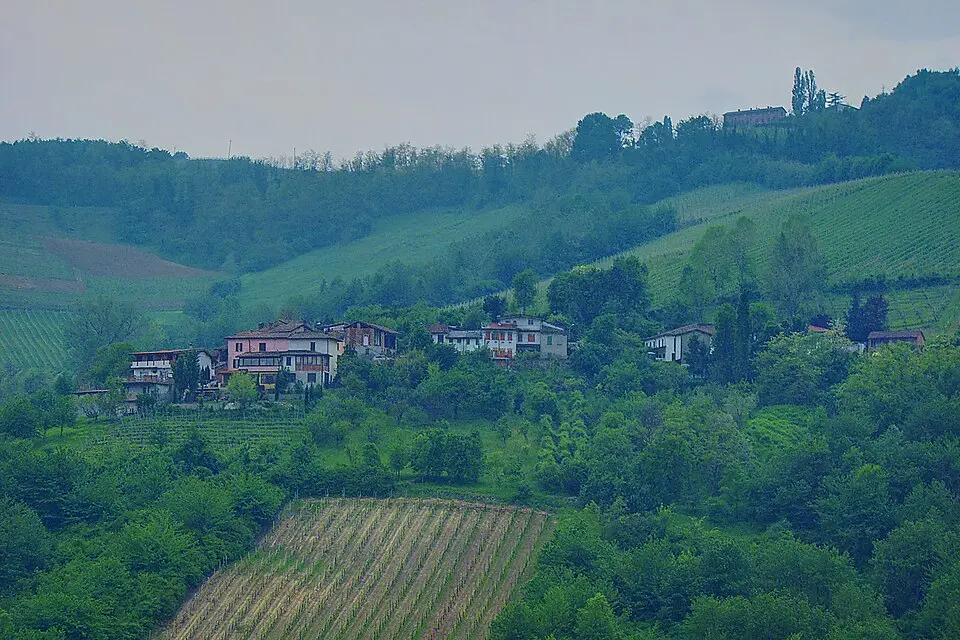 Pizzolo