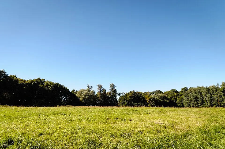 Otoczenie (łąki i pastwiska) zespołu pałacowego