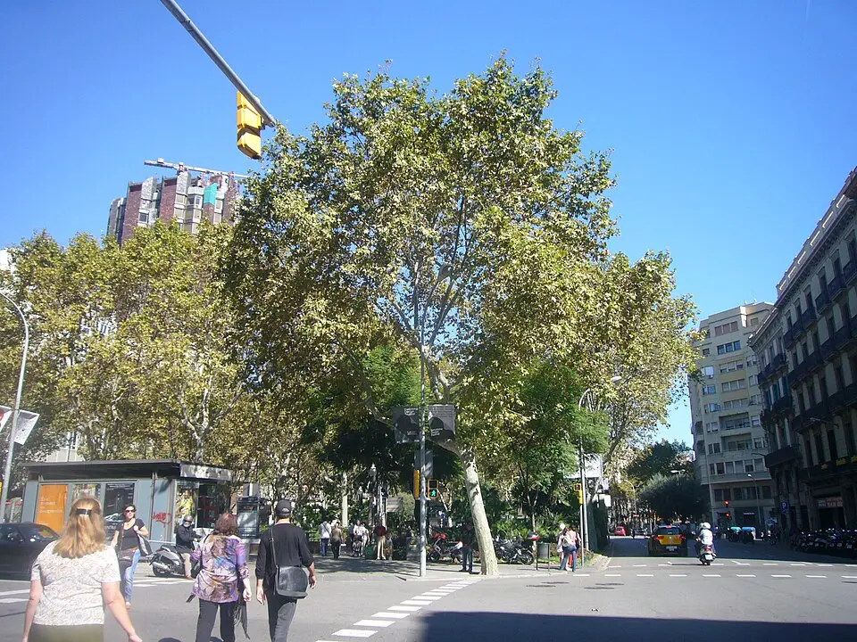 Plaza Urquinaona