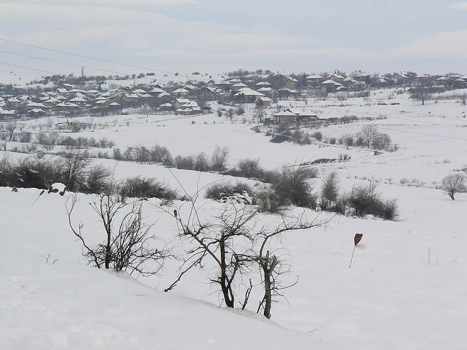 Плакудер