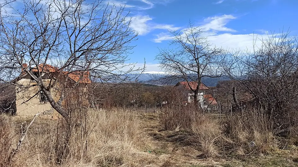 Планиница