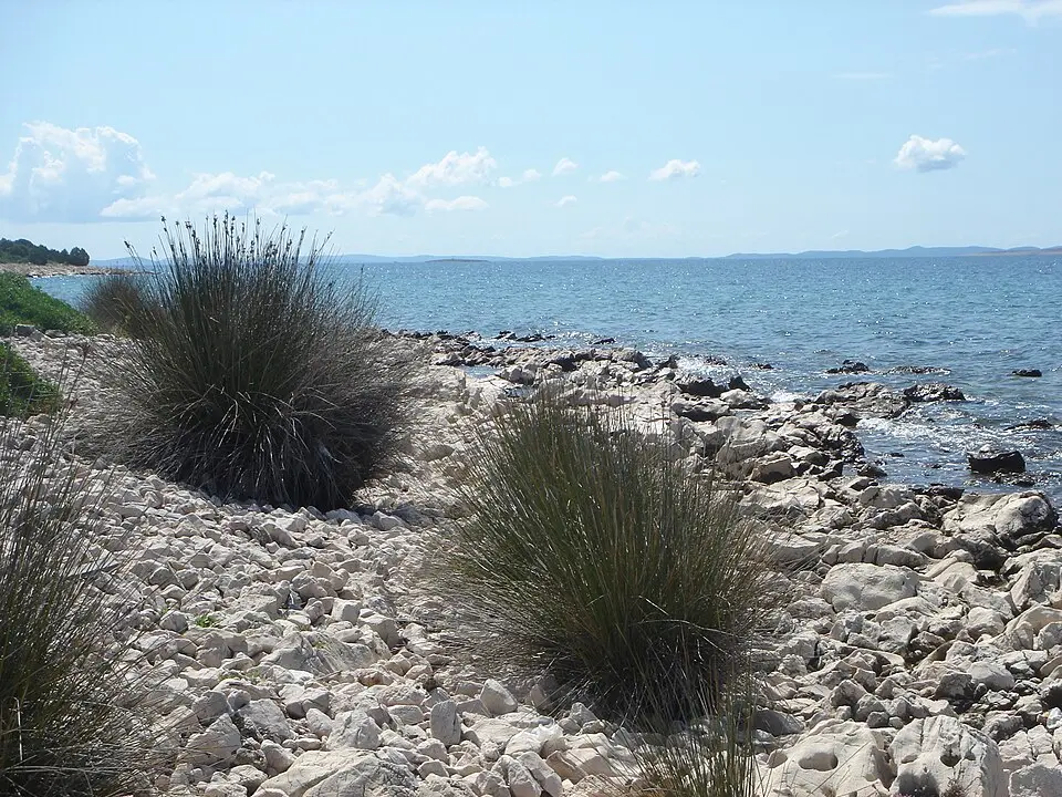 Kép: pepanos · CC BY 3.0 Pohlipski kanal