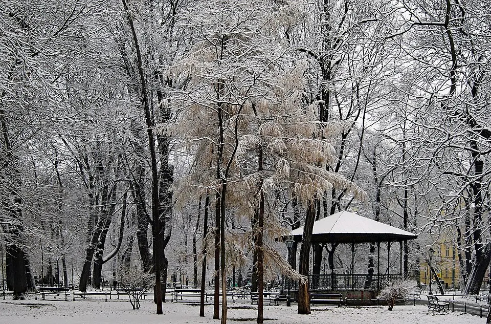 Planty (Krakkó)