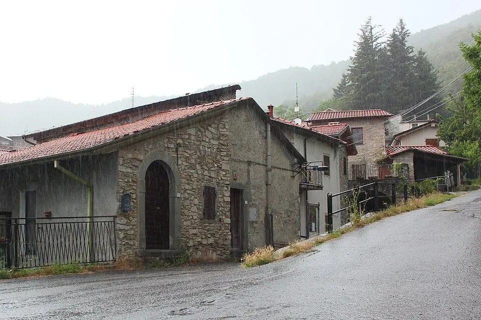 Apella