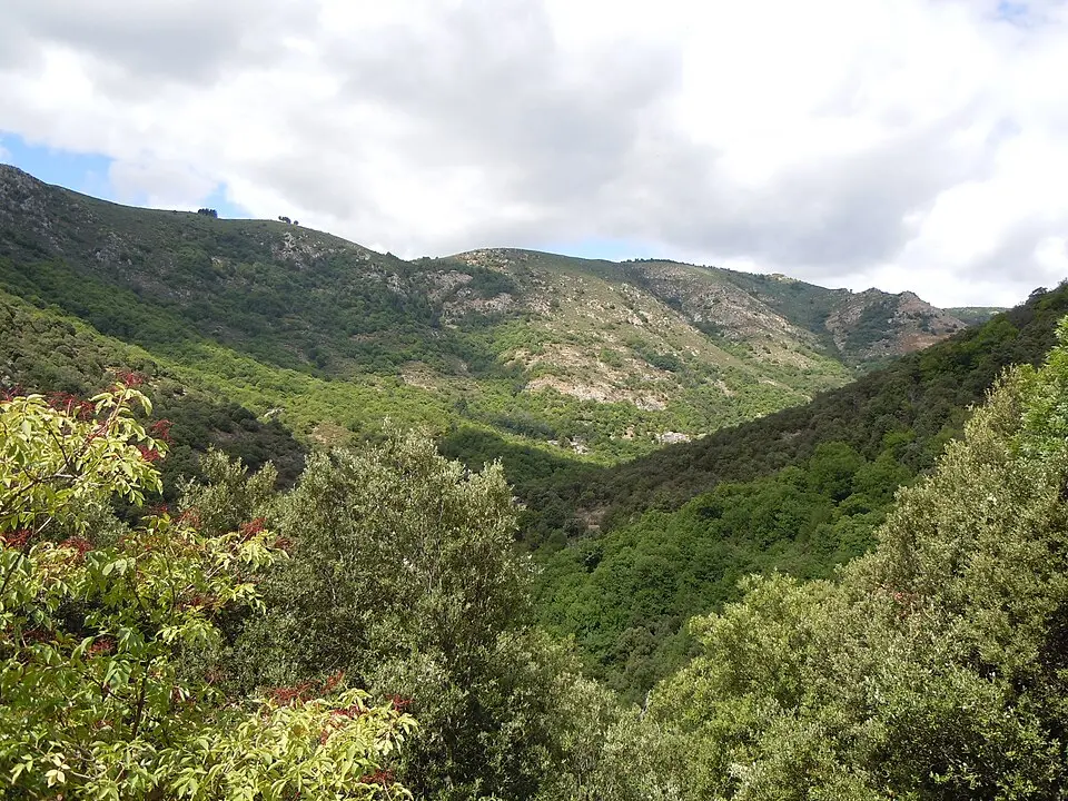 Bild: Patrice78500 · CC BY-SA 3.0 plateau de Montselgues