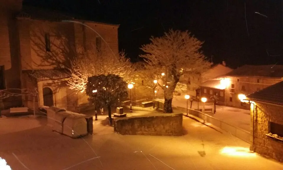 Aras