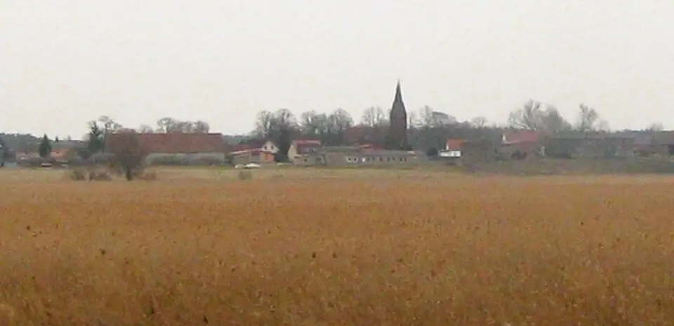 Obrázok: Botaurus · Public domain Plöwen