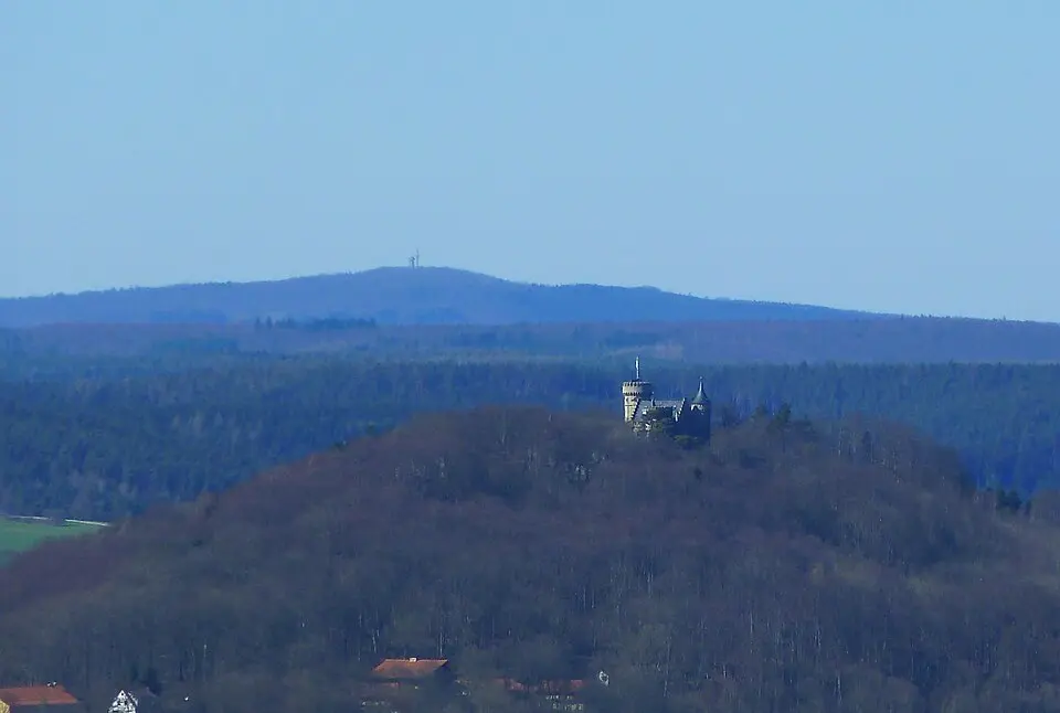 Pleß