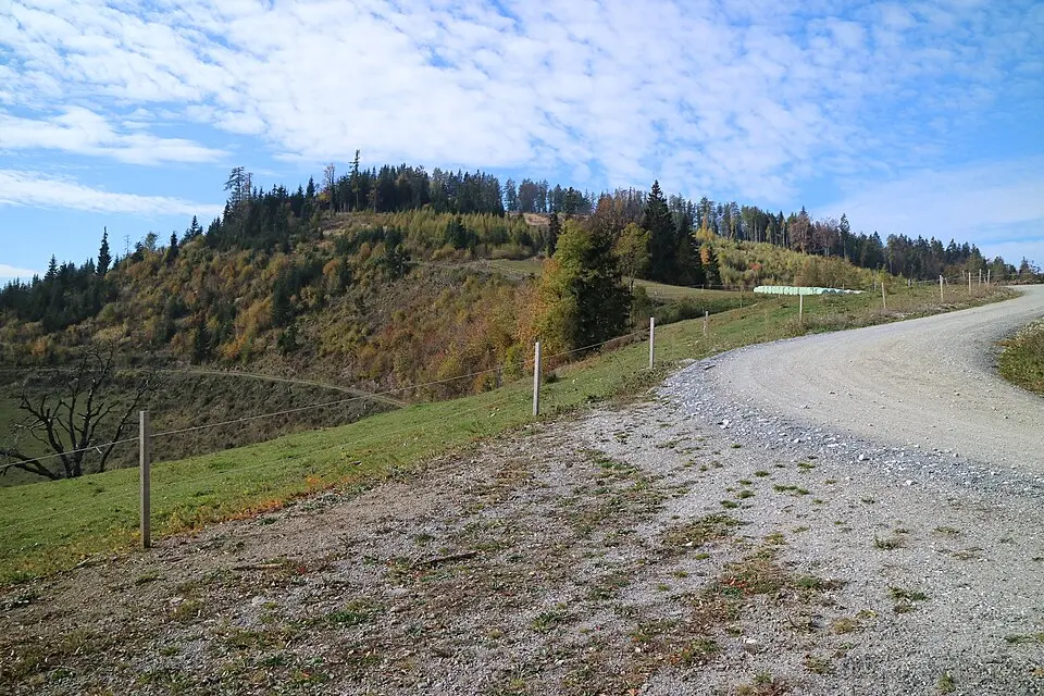 Pleschkogel