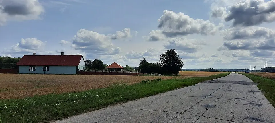 Плясавічы