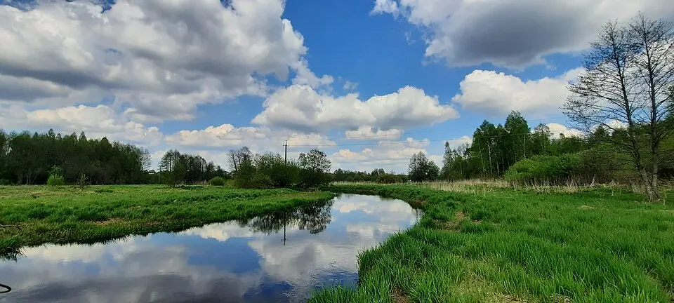 Пліса