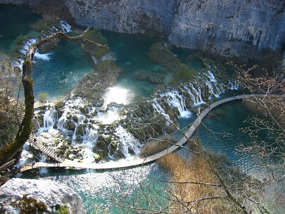 Kaluđerovac
