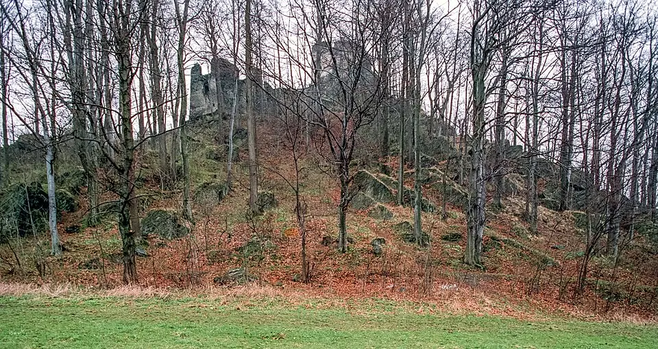 Zamek Niesytno
